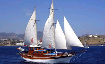 Ceramos Cruise