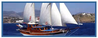Ceramos Cruise