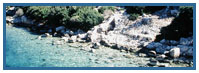 Troya to Ephesus