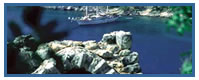 Lycian Explorer North