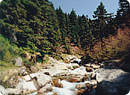 River in Black Sea