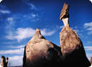 Cappadocia