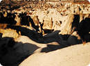 Cappadocia