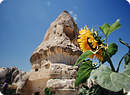 Cappadocia