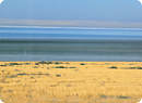 The Salt Lake near Konya 